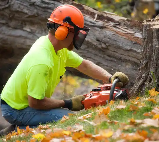 tree services Lilbourn